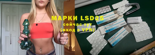 индика Балахна