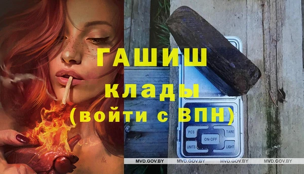 индика Балахна